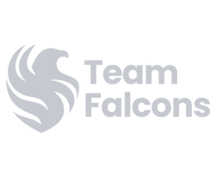 Team Falcons